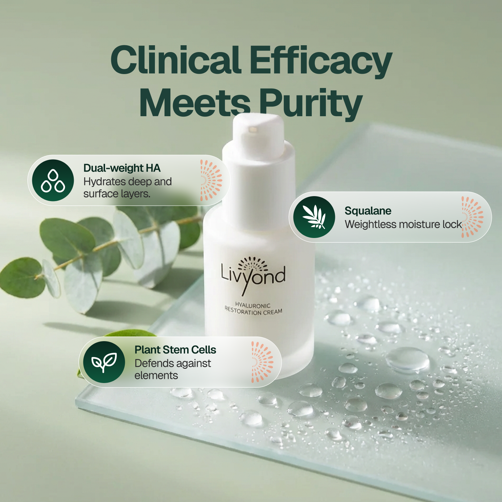 Hyaluronic Restoration Cream